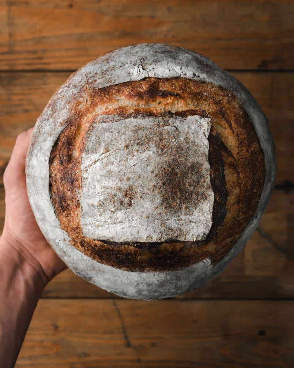 Sourdough Starter & Country Loaf