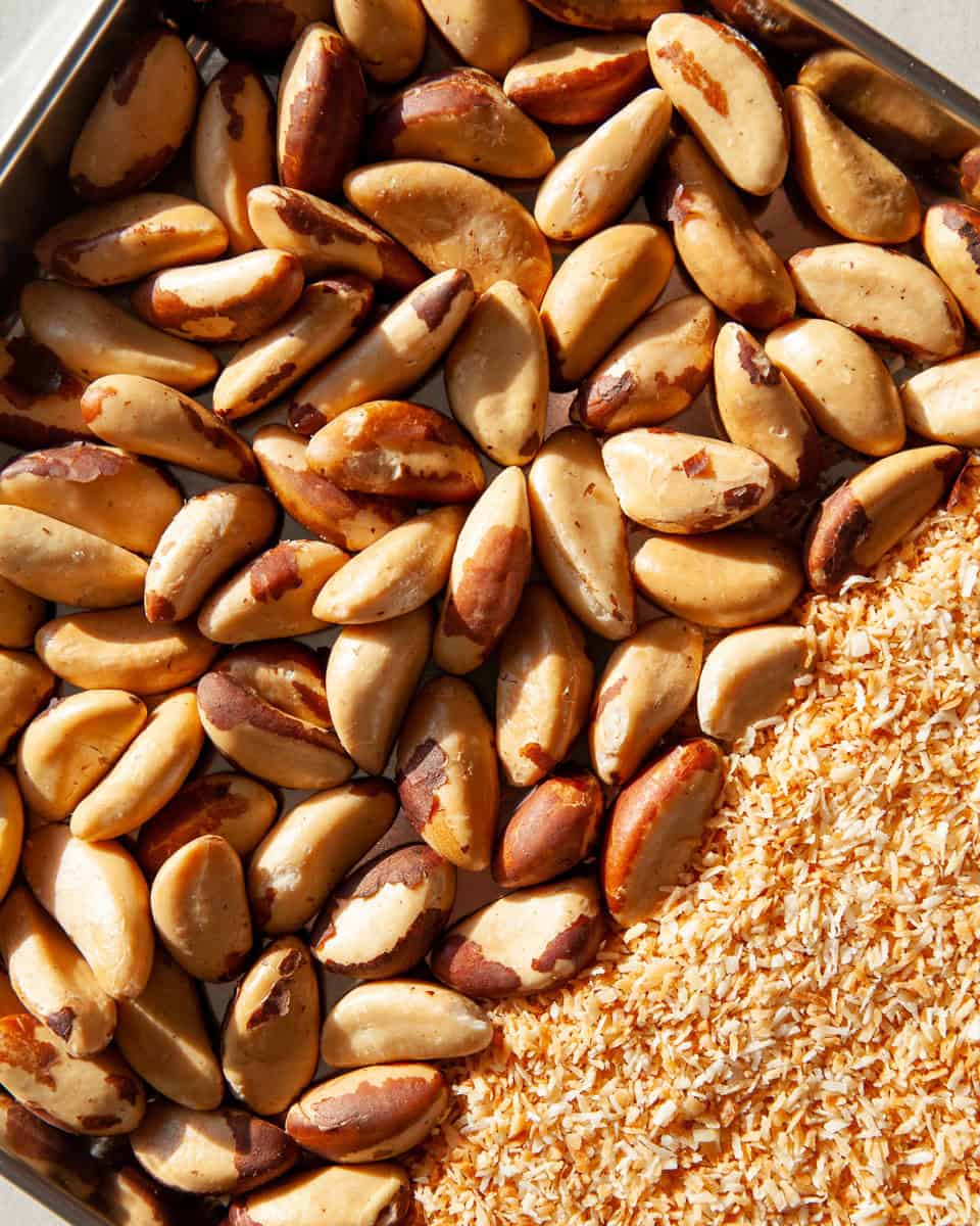 picture of brazil nuts and toasted and grated coconut